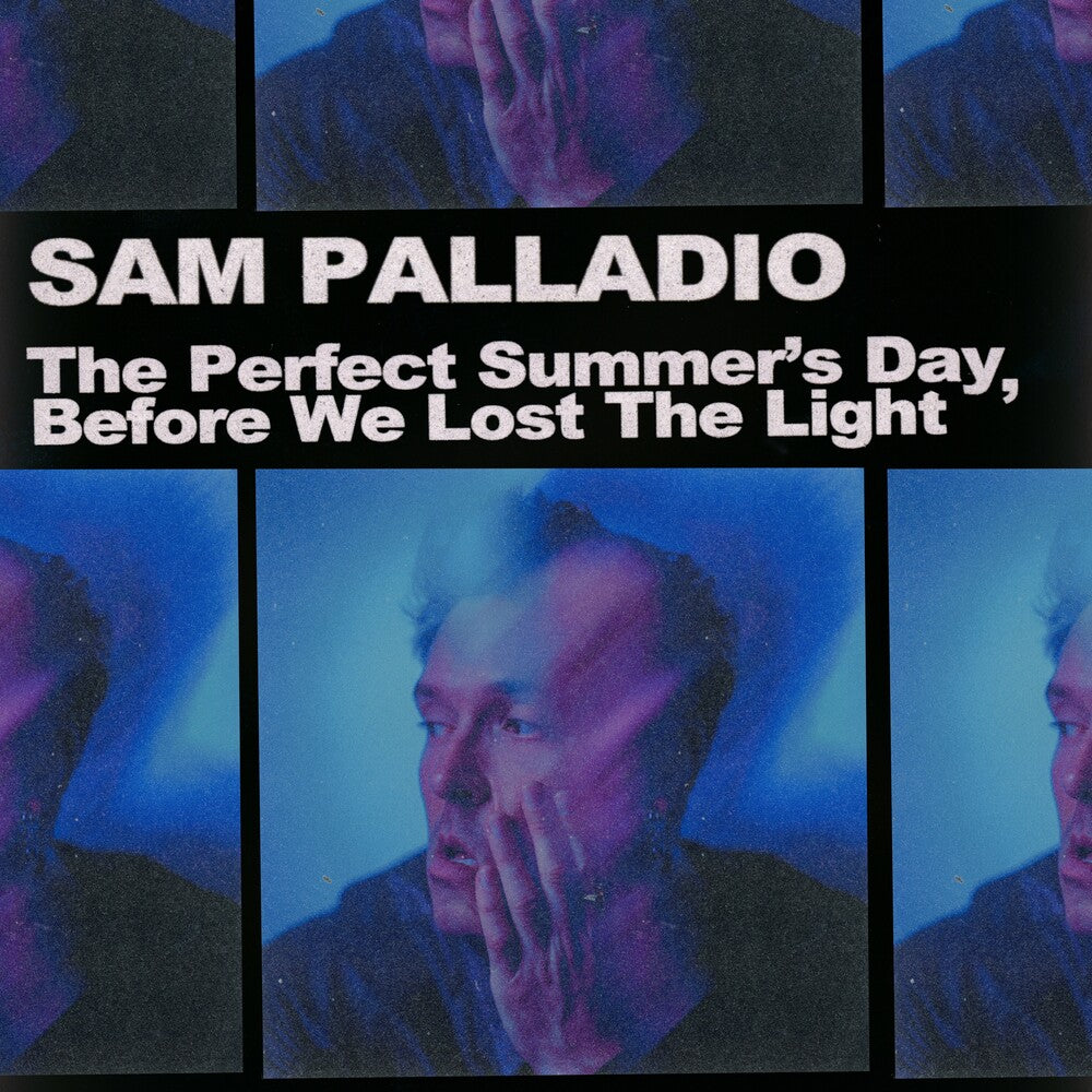Perfect Summer's Day Before We Lost The Light [LP]