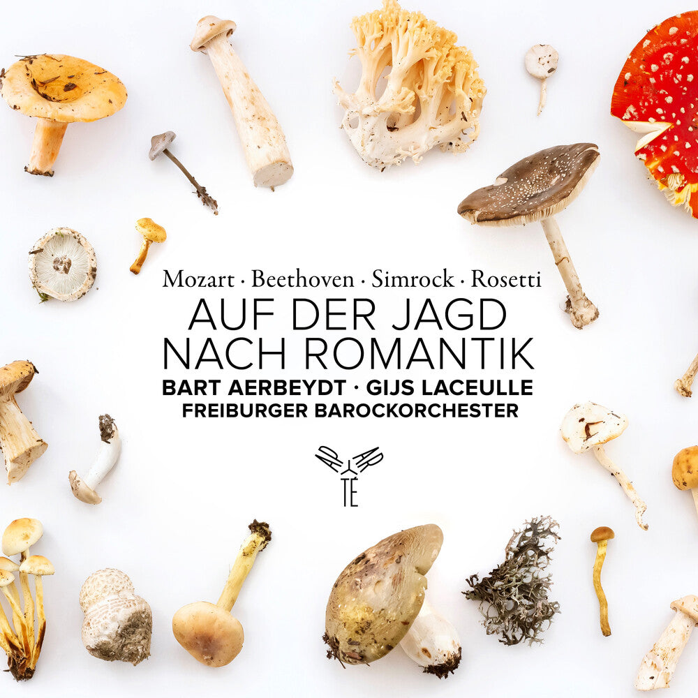 Auf Der Jagd Nach Romantik [CD]