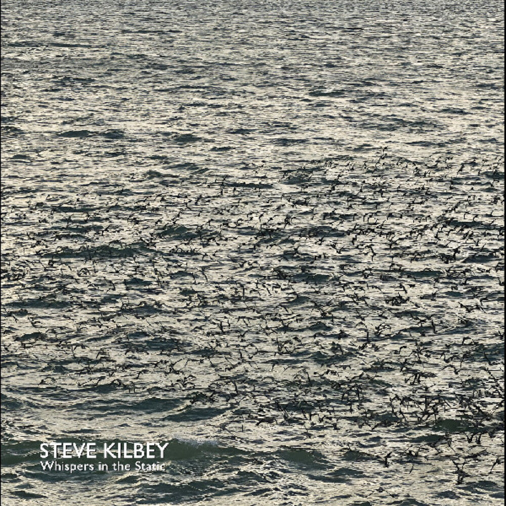 Whispers In The Static [Colored Vinyl] (Gry)