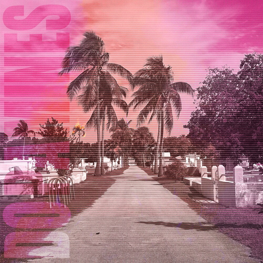 80/20 [LP]