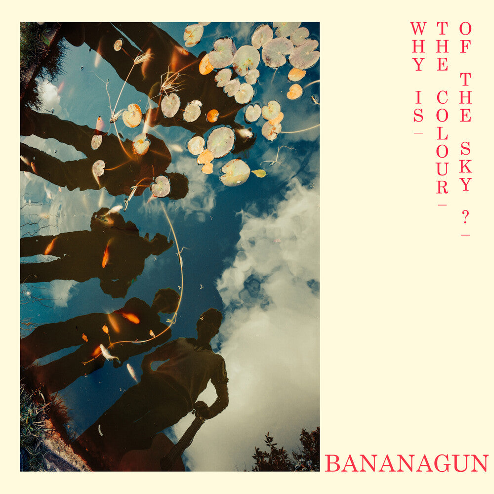 Why Is The Colour Of The Sky [LP]