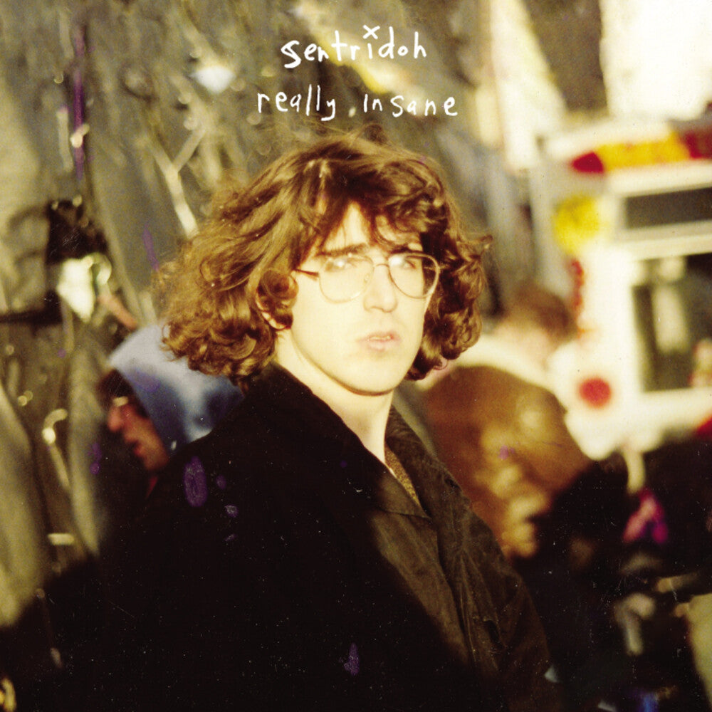 Really Insane : A Lou Barlow Compendium [Remastered]