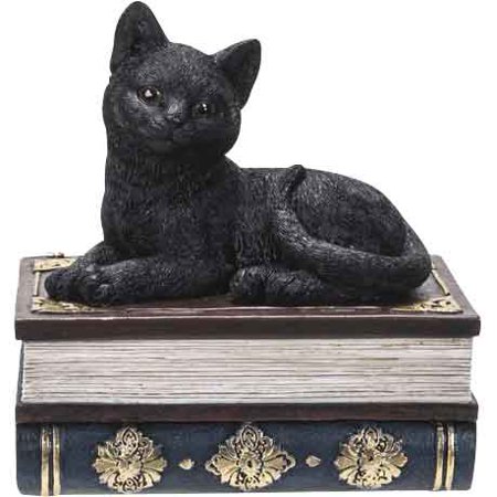 Black Kitten on Books (ONLINE ORDER ONLY)