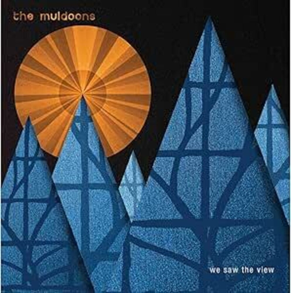 We Saw The View (Uk) [LP]