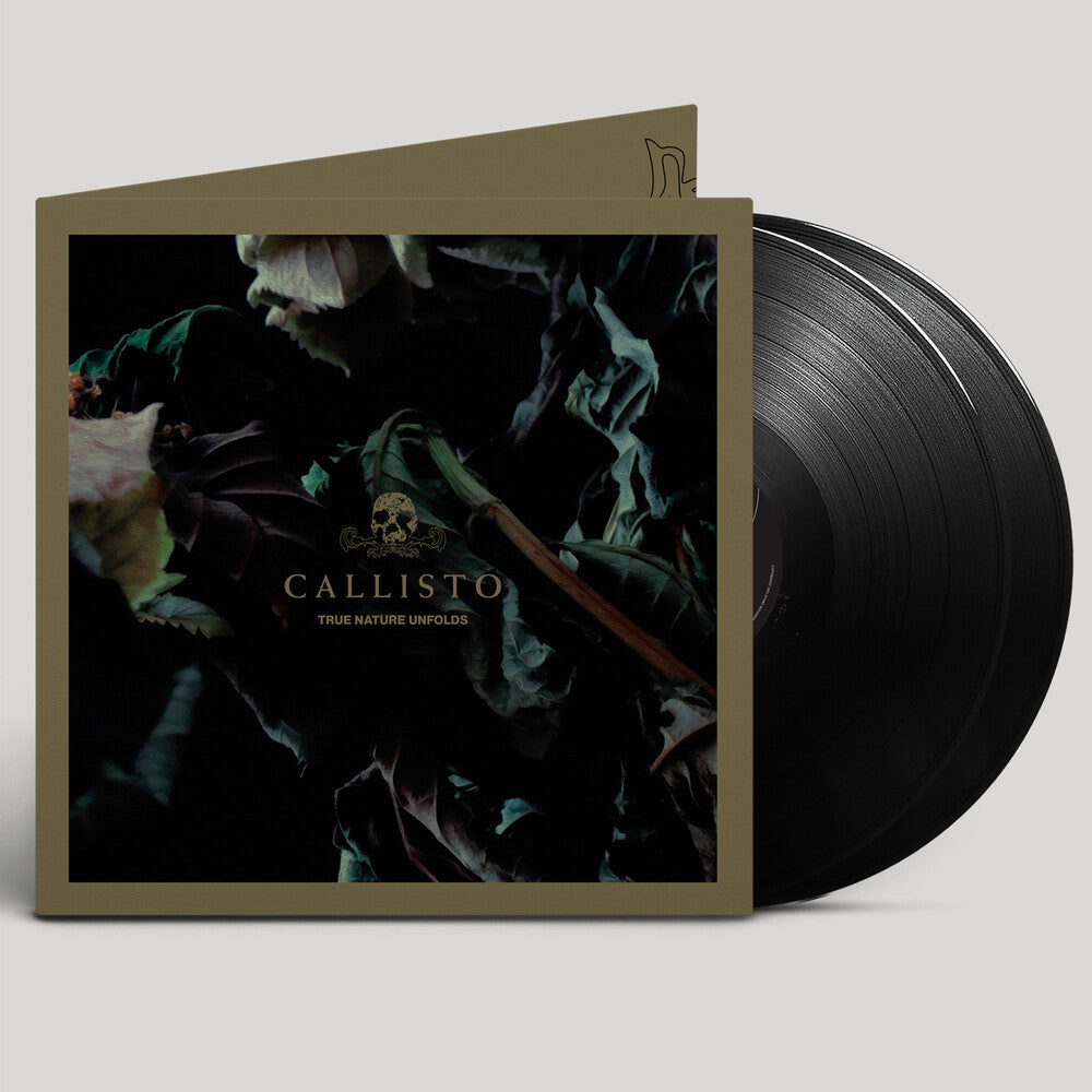 True Nature Unfolds [LP]