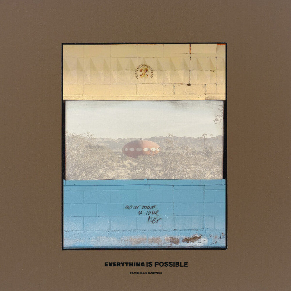 Everything Is Possible [LP]
