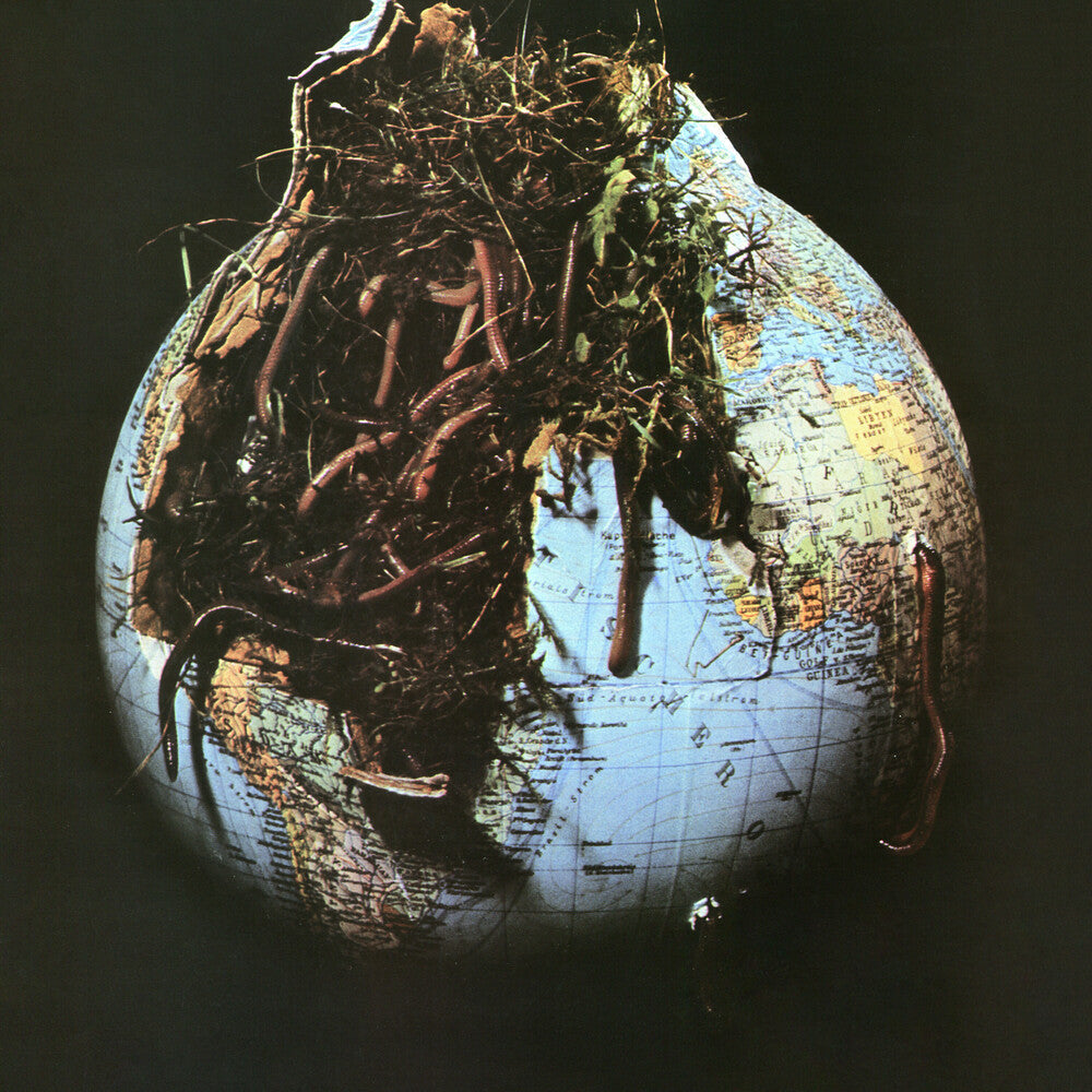 Drosselbart [LP]