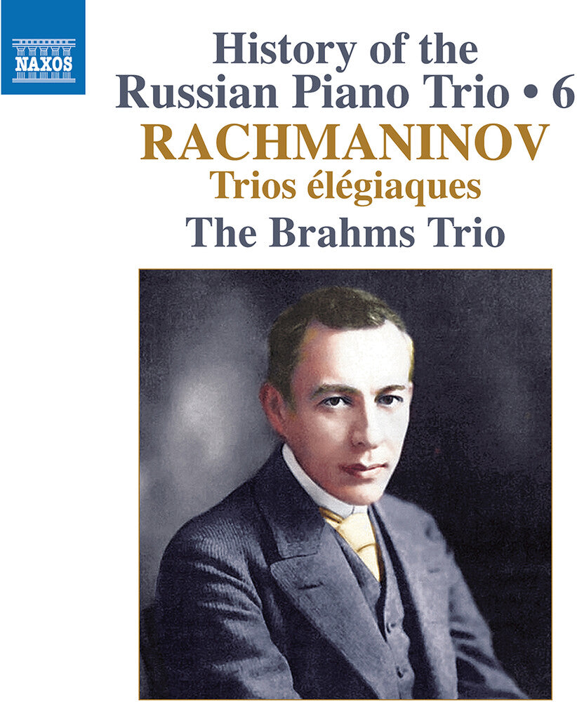 History Of The Russian Pno Trio Vol. 6 / Trios [CD]