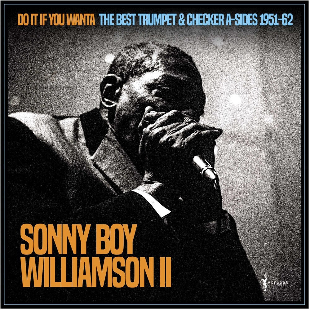 Do It If You Wanta: The Best Trumpet & Checker [LP]