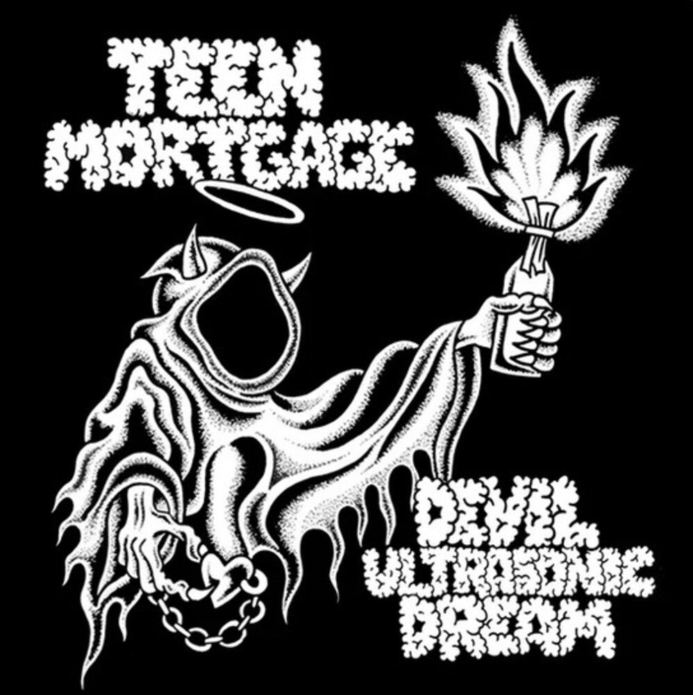 Devil Ultrasonic Dream [LP]