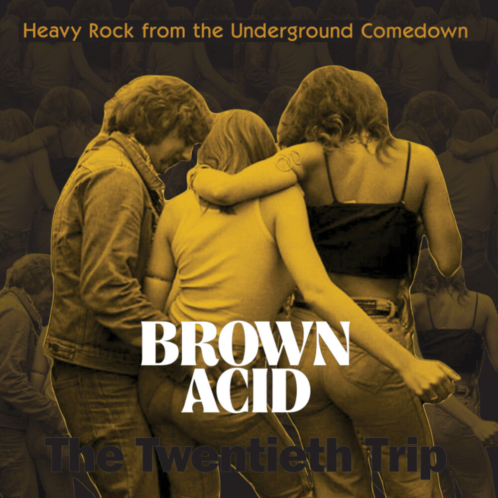 Brown Acid Twentieth Trip / Various [LP]