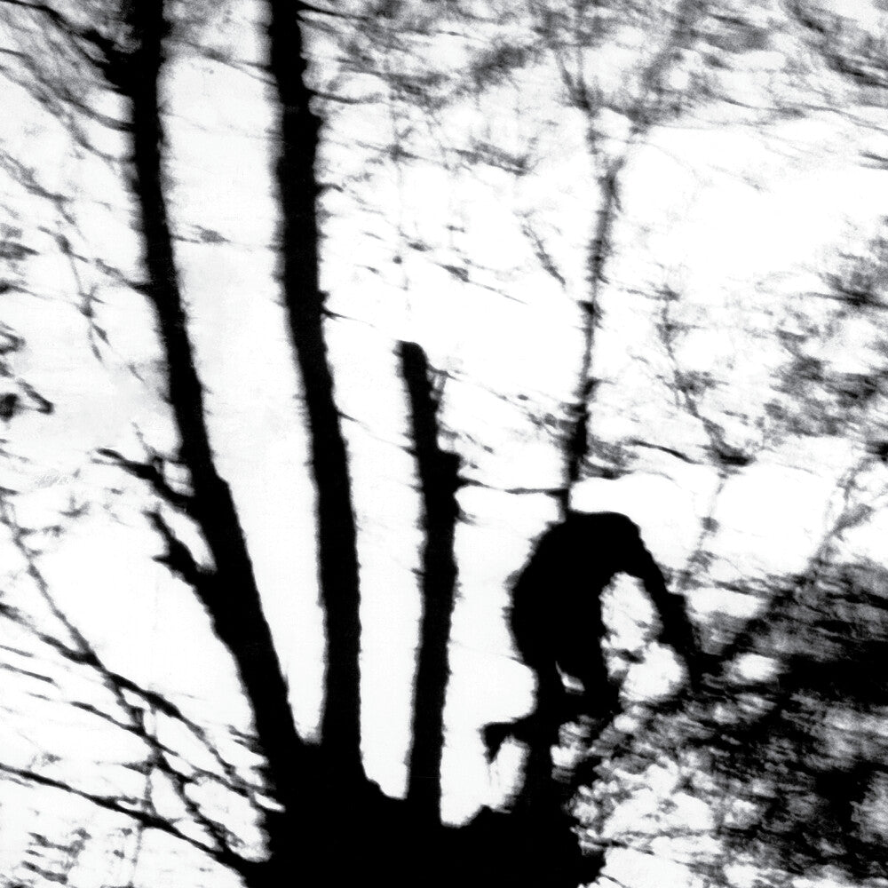 Camouflage Heart (Blk) [LP]