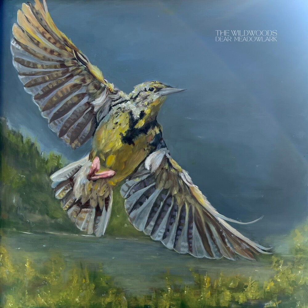 Dear Meadowlark [CD]
