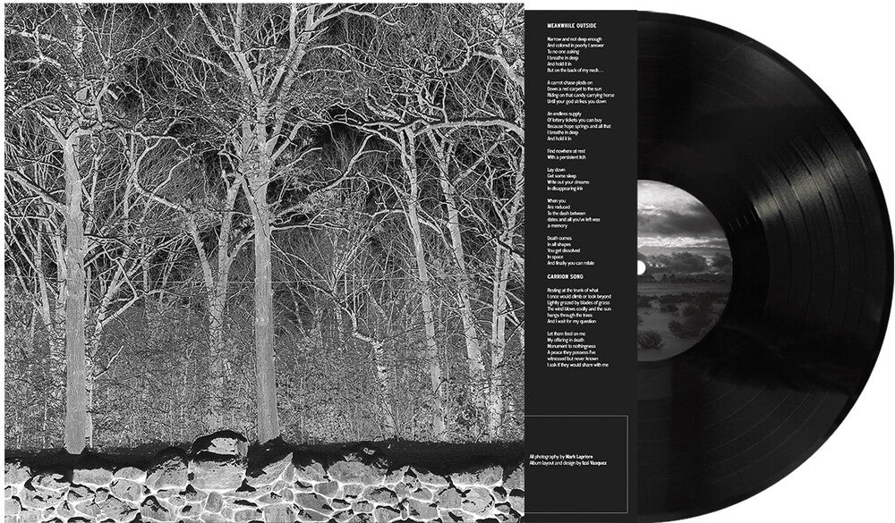 Sunshine & Balance Beams [LP]