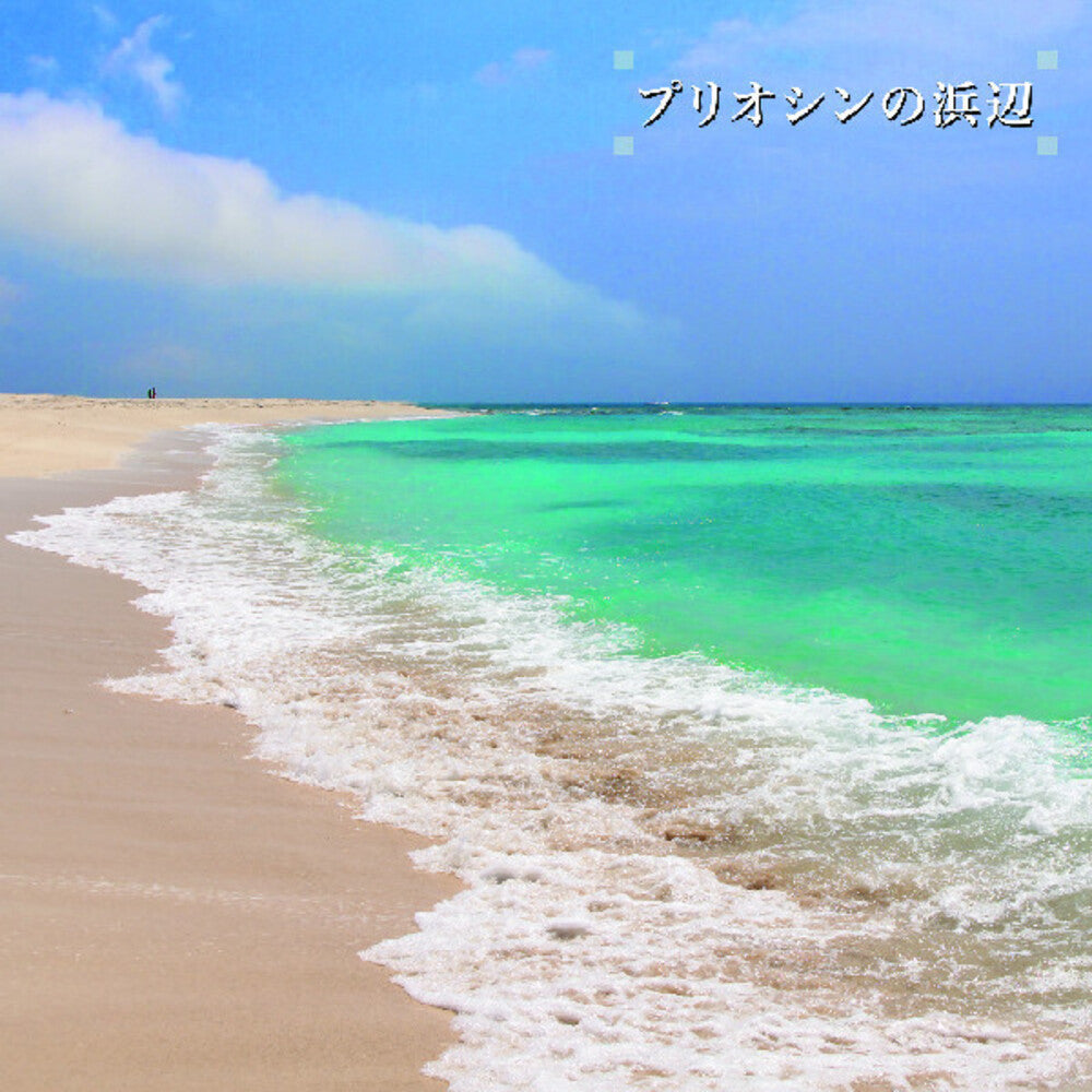 Beach Of The Pliocene [LP]