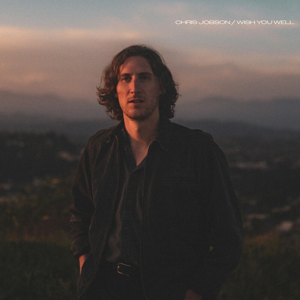 Wish You Well [LP]