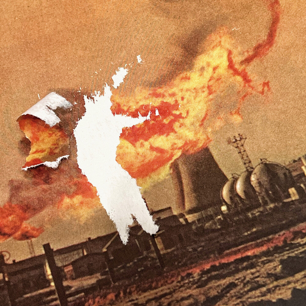 Sasquatch Landslide [LP]