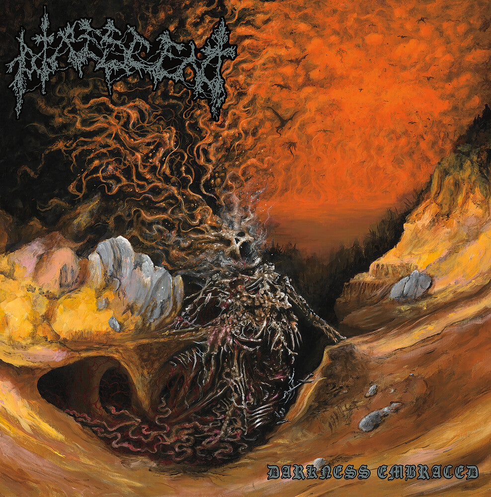 Darkness Embraced [LP]