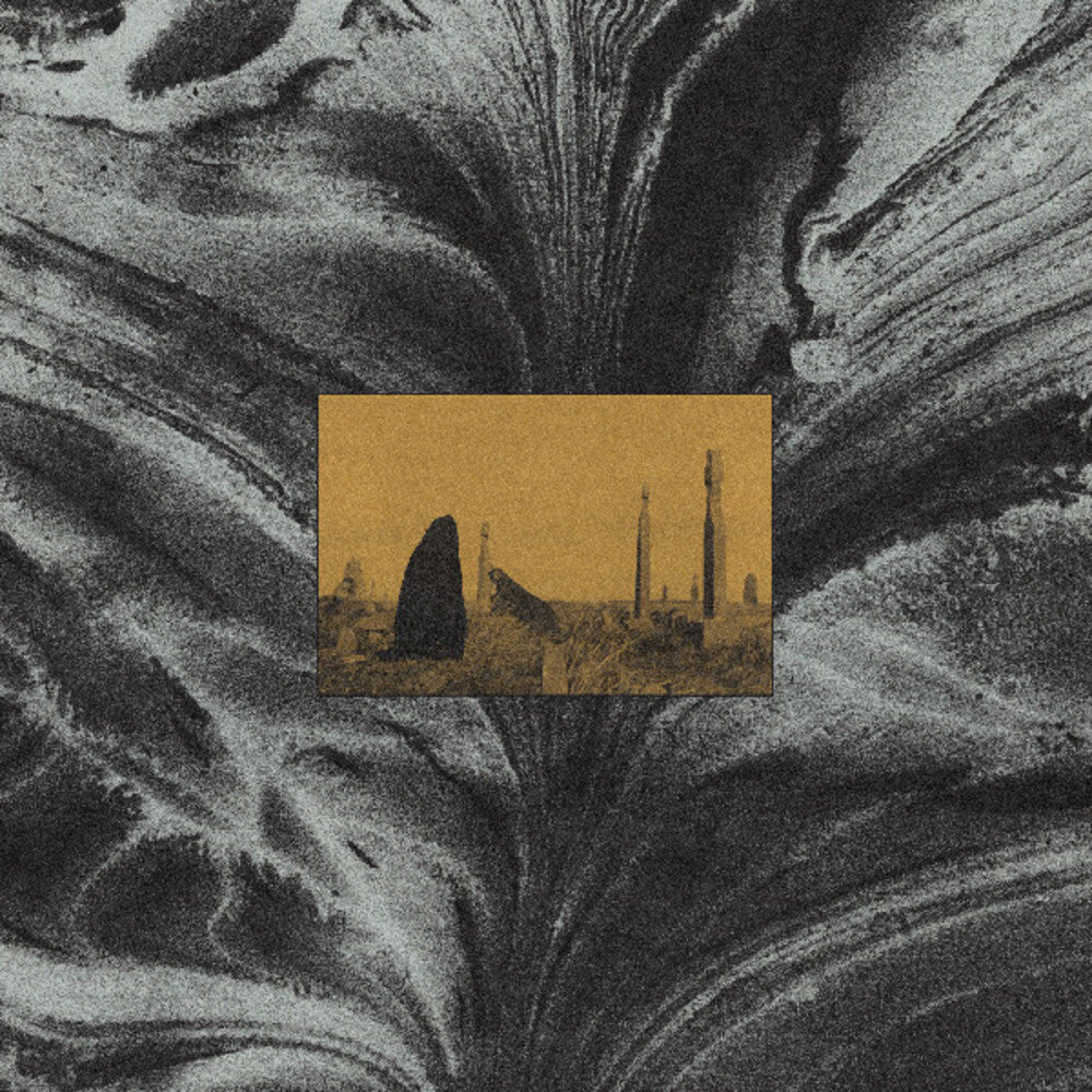 Run (Dicu) [LP]