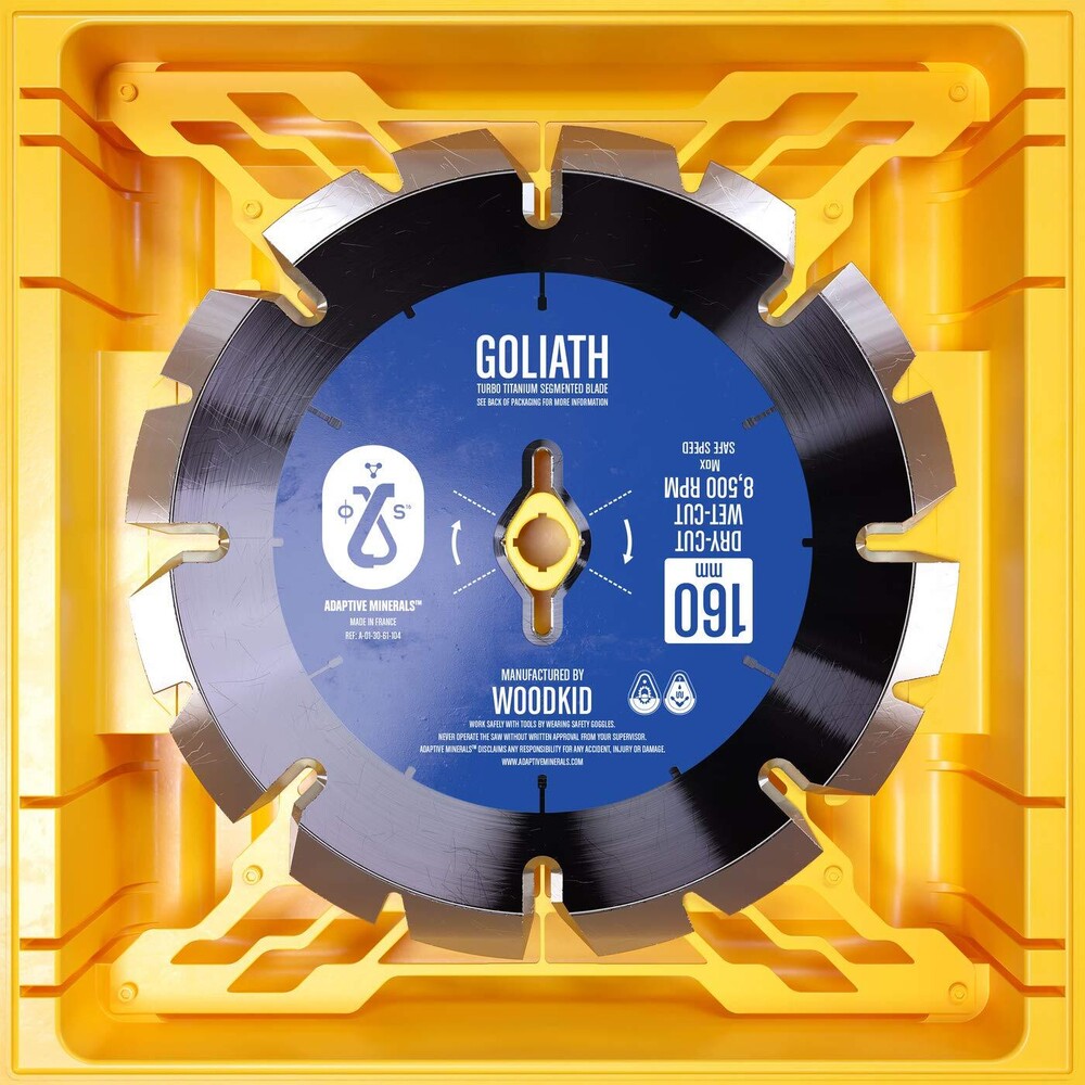 Goliath [LP]