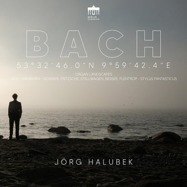 Organ Landscapes: Hamburg [CD]