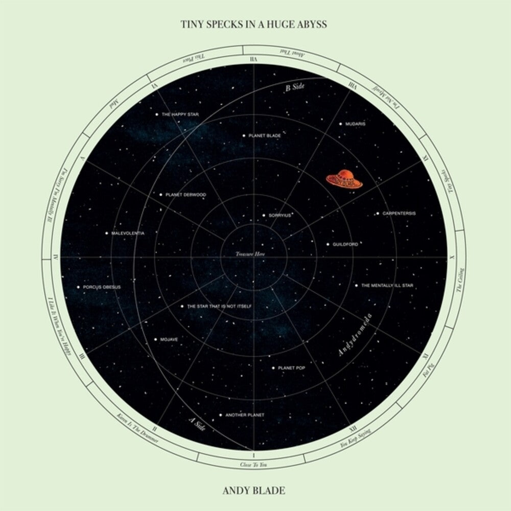 Tiny Specks In A Huge Abyss [LP]