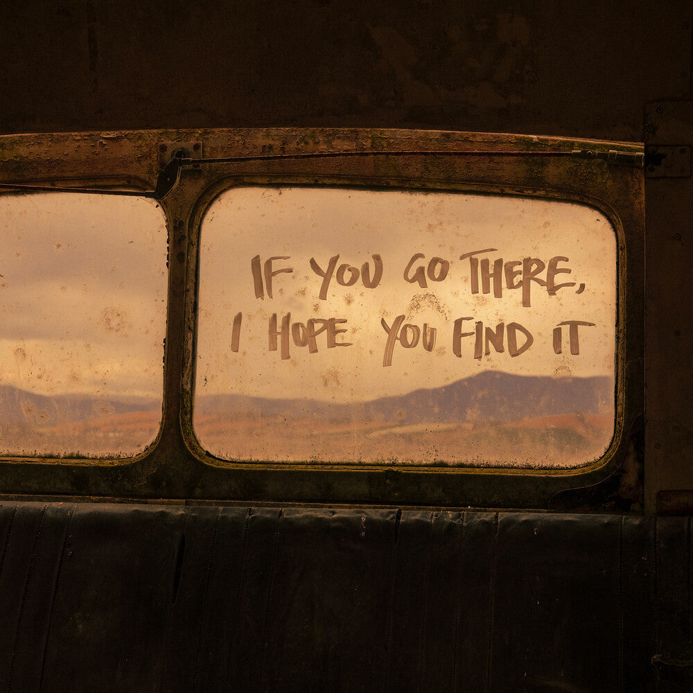 If You Go There I Hope You Find It [CD]