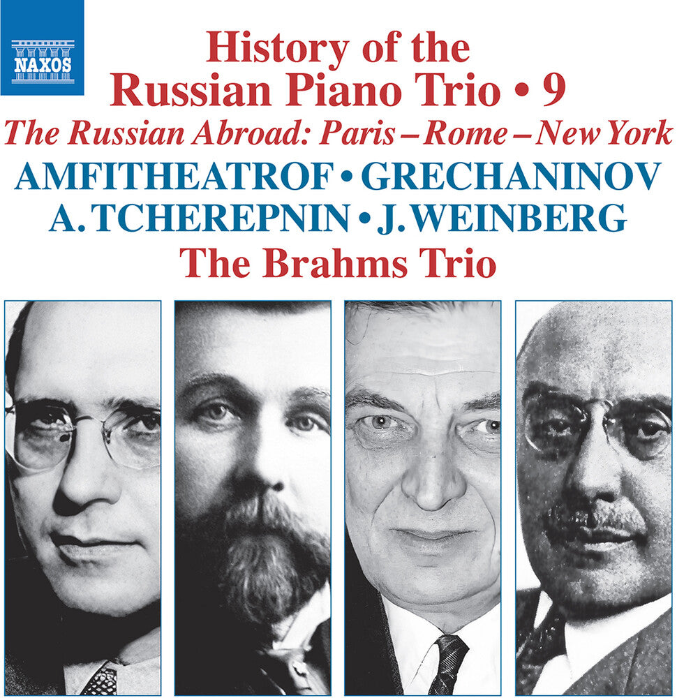 History Of The Russian Pno Trio Vol. 9 [CD]