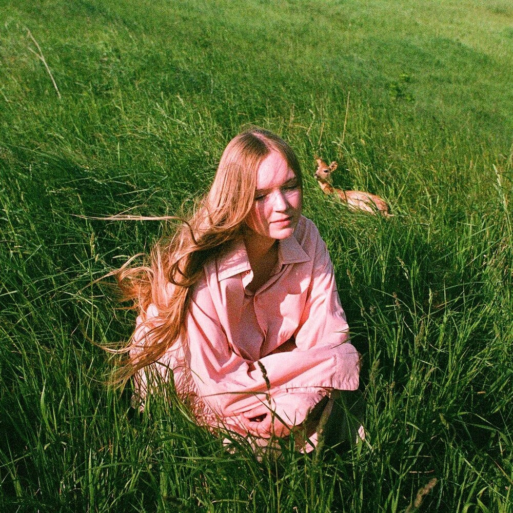 Stay Here Where It's Warm (Can) [LP]