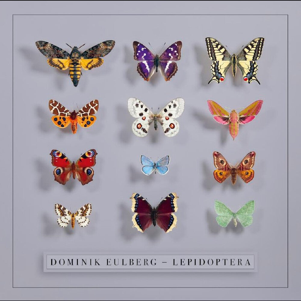 Lepidoptera [LP]