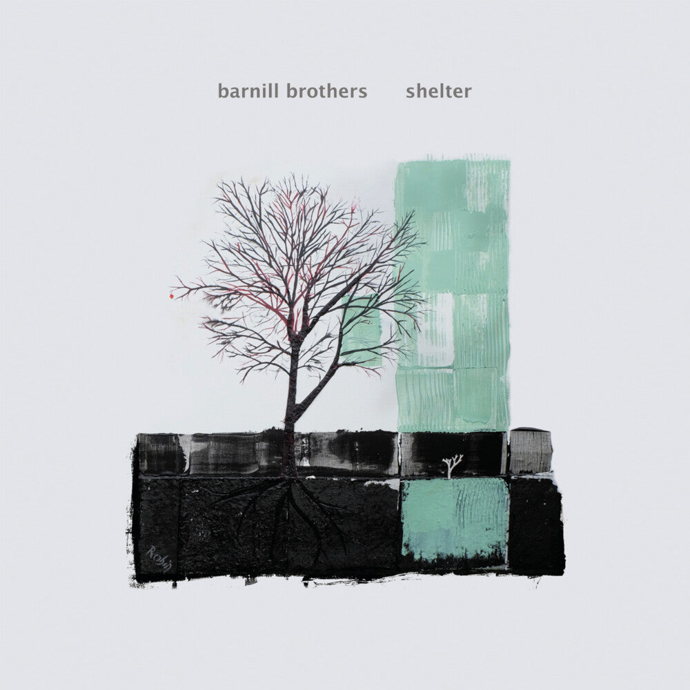 Shelter [LP]