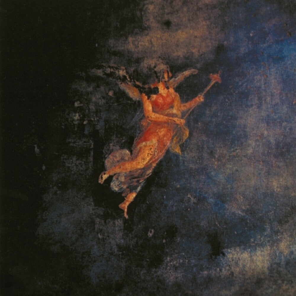 When I Sing I Slip Into Microphone Into That Void [LP]