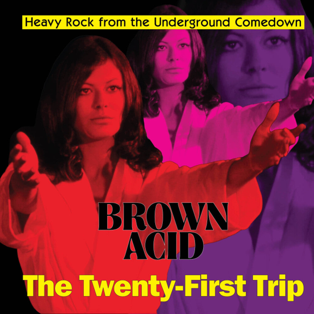 Brown Acid - The Twenty-First Trip [LP]