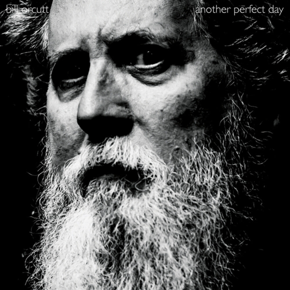 Another Perfect Day [LP]