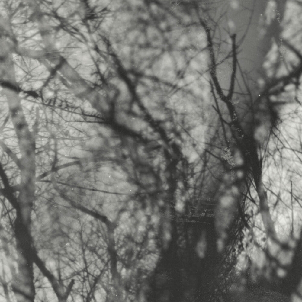 Way Their Crept [Reissue]