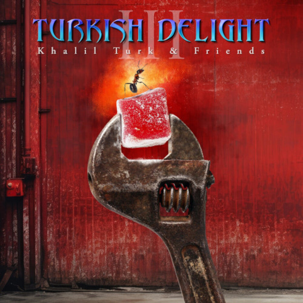 Turkish Delight Volume Three / Various [LP]
