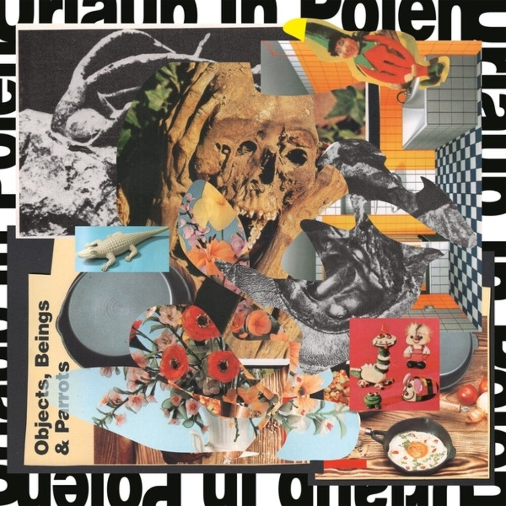 Objects Beings & Parrots [CD]