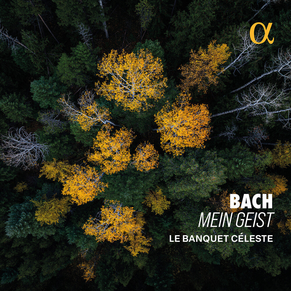 Bach: Mein Geist [CD]