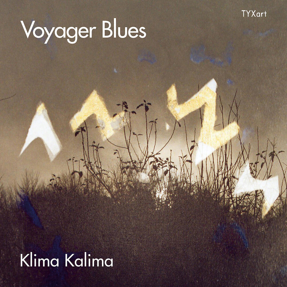 Voyager Blues [CD]