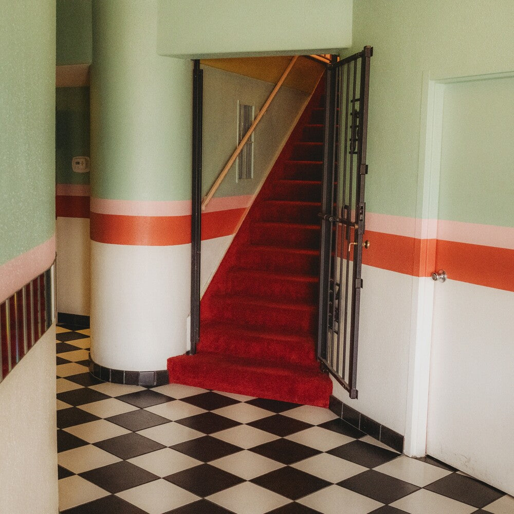 Too Cold To Tango [LP]