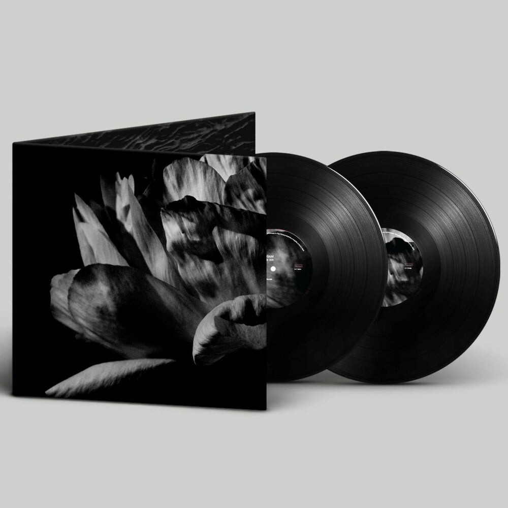 La Ou Passe La Nuit [LP]