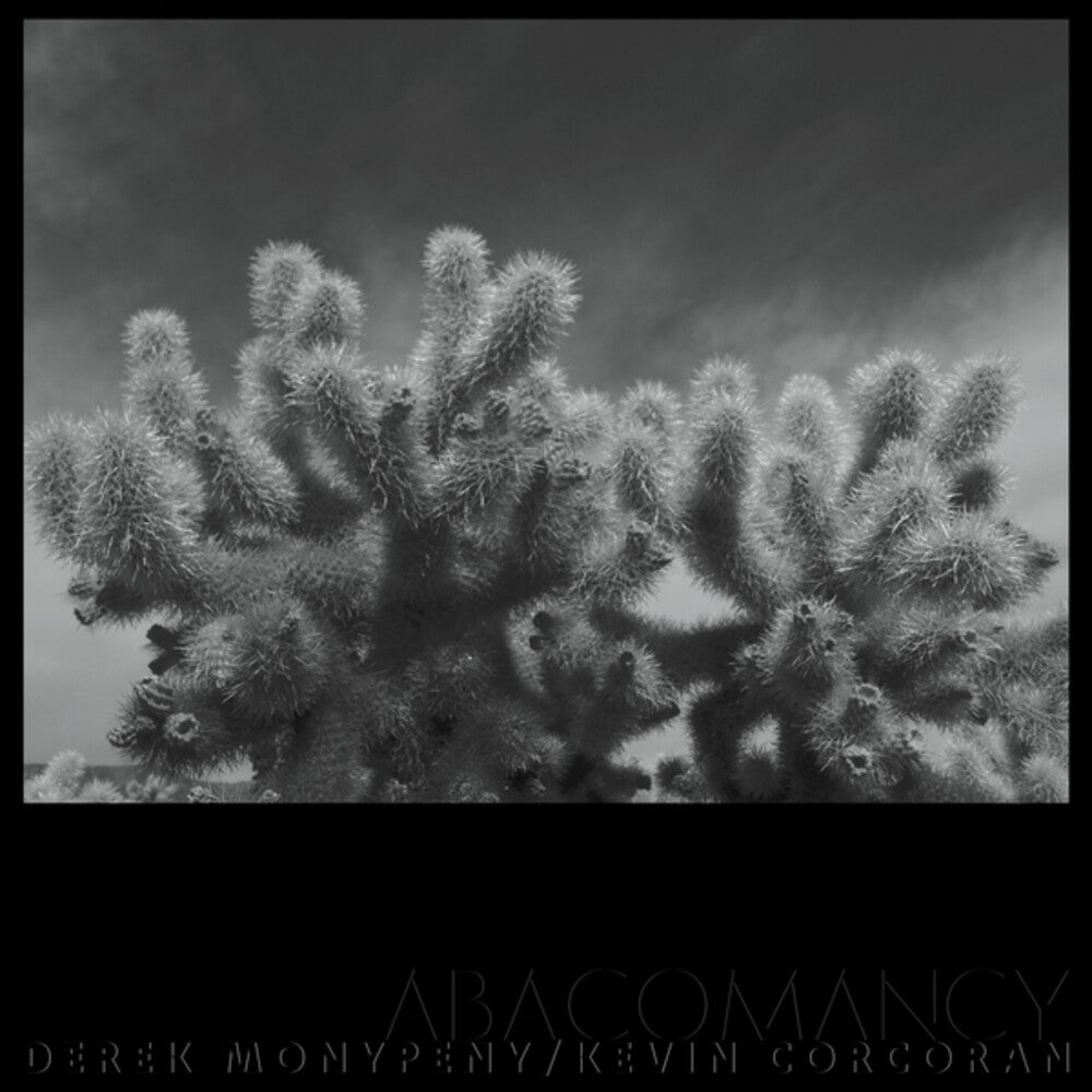 Abacomancy [LP]