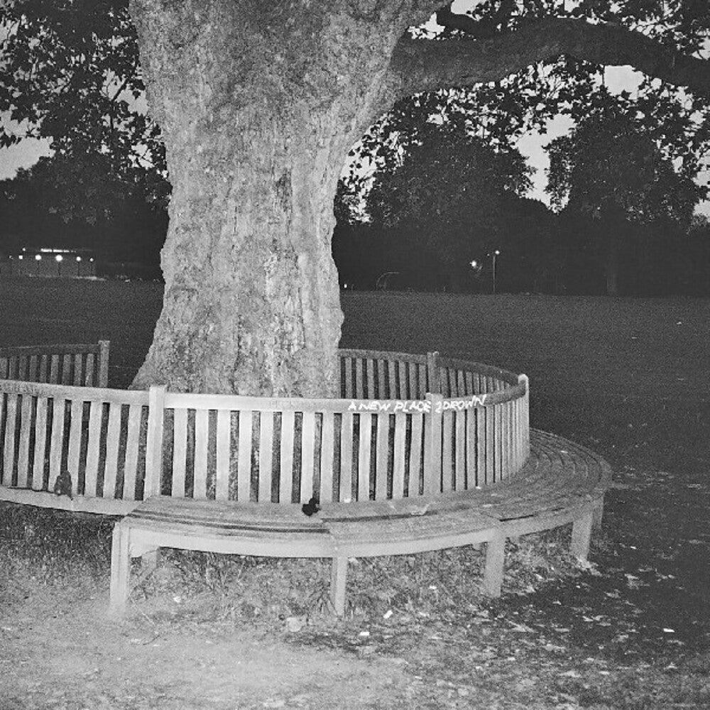 A New Place 2 Drown (Instrumentals) [LP]