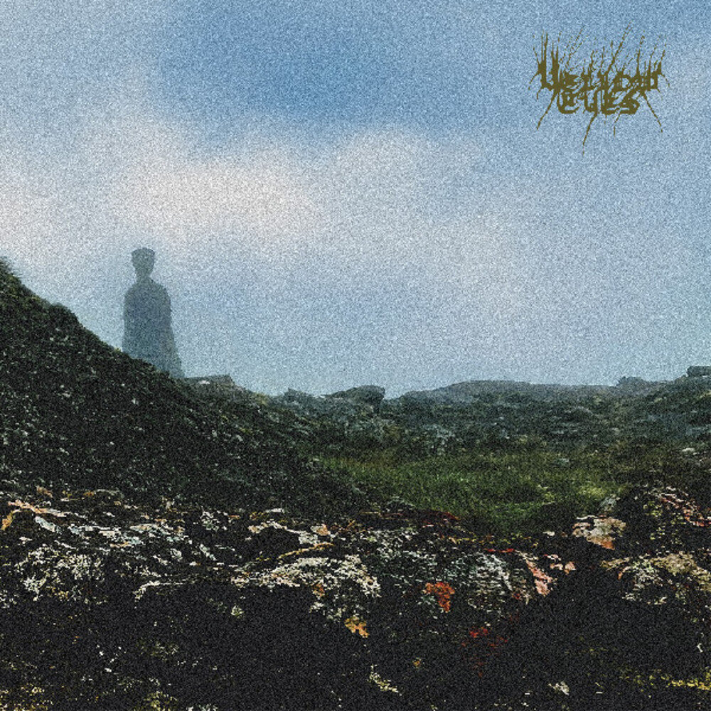 Confusion Gate [LP]