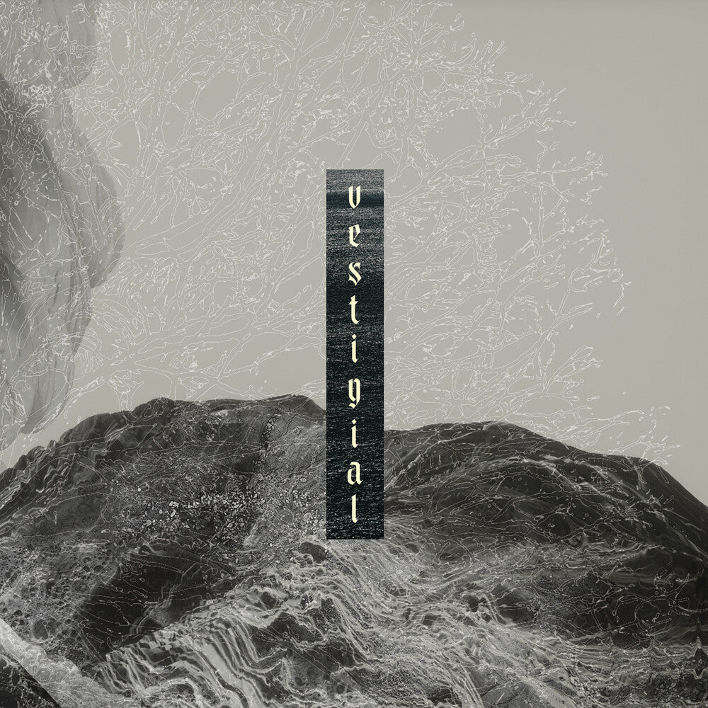 Descending Vastness [CD]