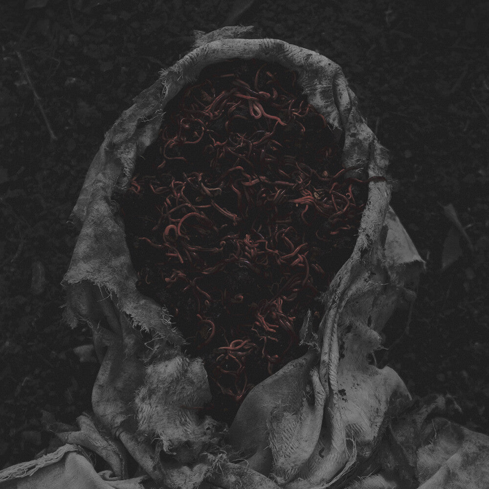 Stillamentum [CD]
