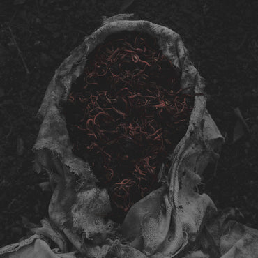 Stillamentum [CD]