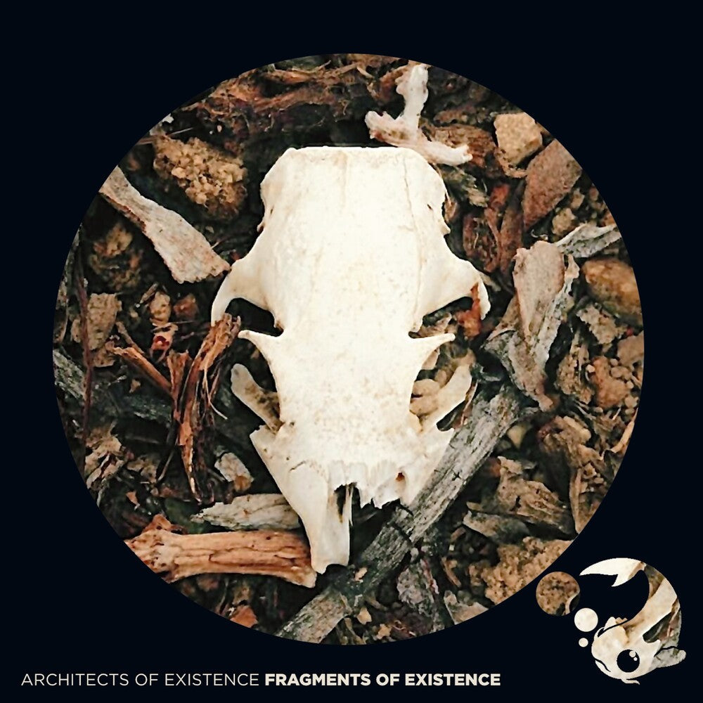 Fragments Of Existence [CD]