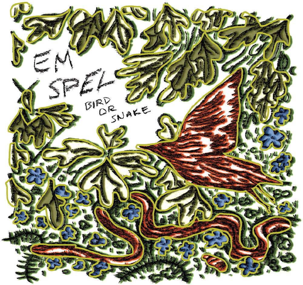 Bird Or Snake [LP]