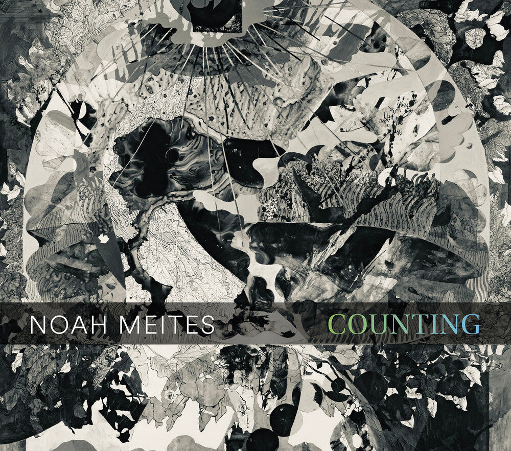 Noah Meites: Counting [CD]